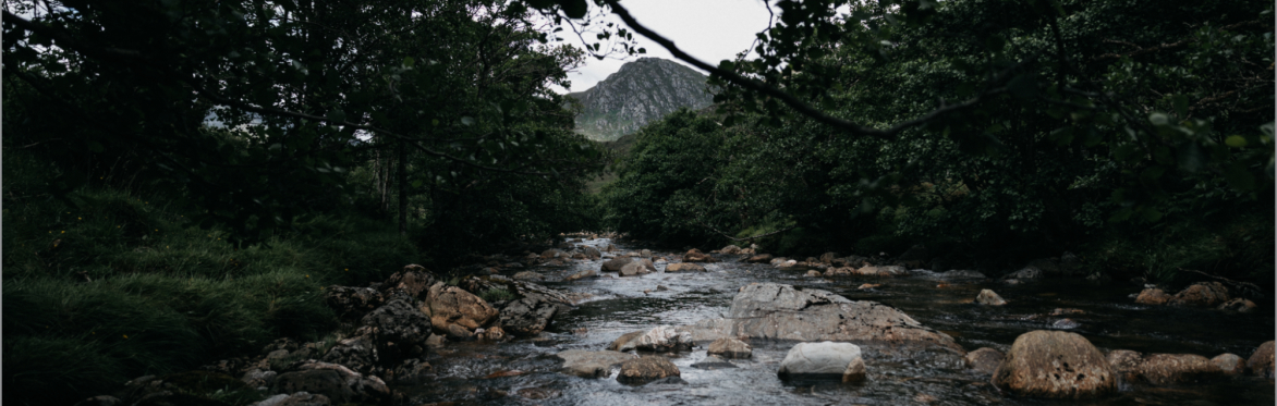 Where the River Takes Us - River Girl x Tori Tsui: In Conversation (Bristol)