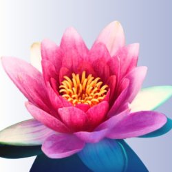 In Person Workshop! Stop the Pattern: Reconnecting with Your Inner Child Through Your Inner Voice