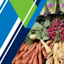 Forth Valley Good Food Nation Workshop