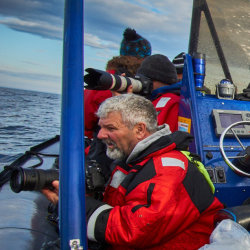 Friday Evening Boat Tour – Sea of Whales