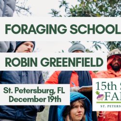 Foraging School - St. Petersburg, Florida
