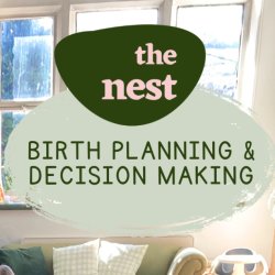A well-lit room with green and pink blobs painted on the walls with green sofa and cushions, with the words 'The Nest - Birth Planning & Decision Making' overlaid in the foreground