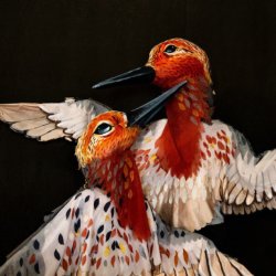 a picture of a two red knot birds next to text that says Paperhand Puppet Project presents The Wild Wisdom of the World August 7 - September 27 at the Forest Theatre in Chapel Hill, NC