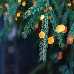 Reel Holiday Nights