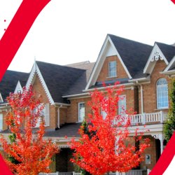 How to Price a Freehold