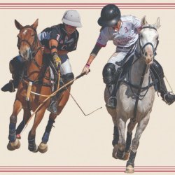 2026 USPA Women's Arena Open Finals