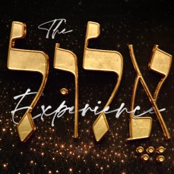 The Elul Experience