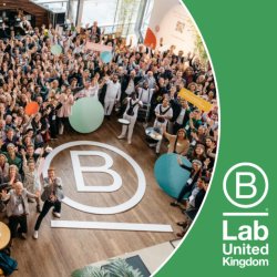 Office Hours: for B Corps Working Towards Recertification in the next 12 months