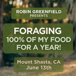 Robin Greenfield teaching at Foraging School