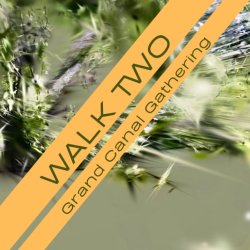 Ode to Ballynafagh: Walk 2: Grand Canal Gathering