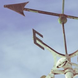 Coaching Skills for Counsellors