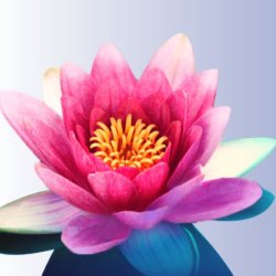In Person Event! Transform Relationships