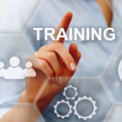 Online training