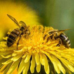 Transformational Supervision: Grounding in Relationships and Structures That Help Us Thrive (2-Part Series)