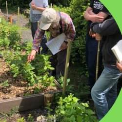 Tree Nursery volunteers looking at tree saplings