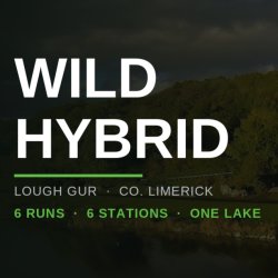 Lough Gur Wild Hybrid