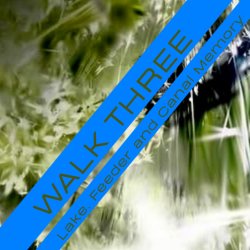 Ode to Ballynafagh: Walk 3: Lake, Feeder and Canal Memory