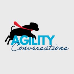 Agility Conversations: Guided Group Mentorship & Learning
