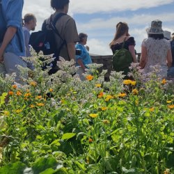 Wild About Devon visit... Exminster Greenspaces