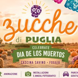 campi di girasoli e lavanda