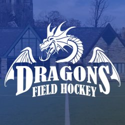 DC Dragons Summer Outdoor Pickup 🏑