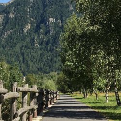 Raduno dei gruppi di cammino