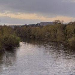Bewdley bat walks