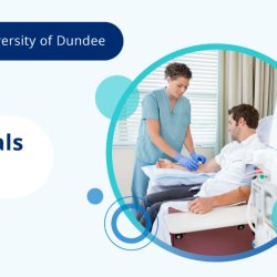 Scotland Cross-Sector Hub Event 4