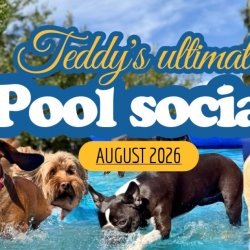 The Ultimate Doggy Pool Party & Foam Party