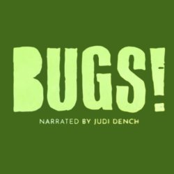 BUGS! A Rainforest Adventure