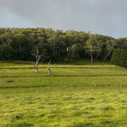 Introduction to Natural Sequence Farming Day Exeter NSW