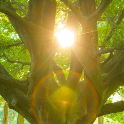 Encuentro IFS & Espiritualidad