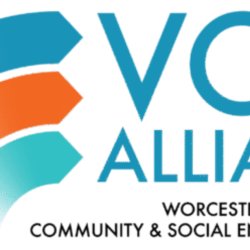 Worcester VCSE Alliance Lunch and Learn - VCSE Procurement