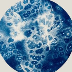 Cyanotype Workshop