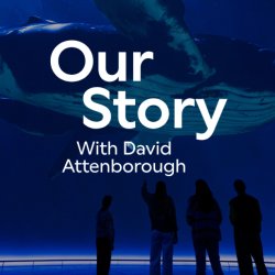 Our Story with David Attenborough: Schools and Groups