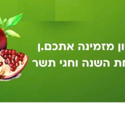 Israeli postdoc "work in progress" seminar series