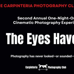 2nd Annual Carp Photo Club -The Eyes Have It!