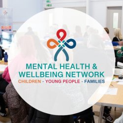 Mental Health & Wellbeing Network (Children, Young People, and Families) Event