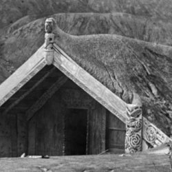 Hinemihi buried after the Tarawera eruption