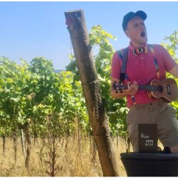 a musical adventure at albury vineyard