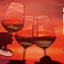 The RED SKY Cider Appellation Fall Harvest Dinner