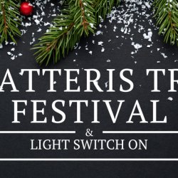 Chatteris Lights and Tree Festival