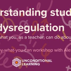 Understanding student dysregulation