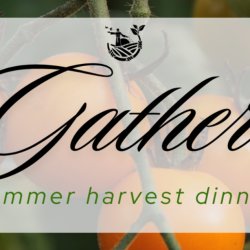 Gather: Summer Harvest Meal