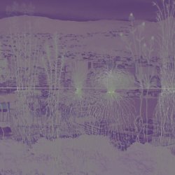 Build Sprint: Pōneke Climate Hub x Critical Signals x two/fiftyseven