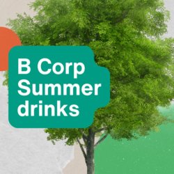 B Corp End of Summer Drinks