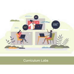 PROFESSIONAL COUNSELLING (Semesters 5 & 6): Professional Integration Labs