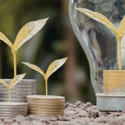 Opportunities for philanthropy to boost green skills in Scotland