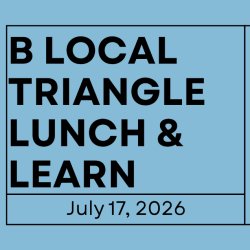 Lunch-n-Learn - Responsible AI: How to Feel OK About Using AI