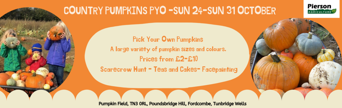 Country Pumpkins PYO
